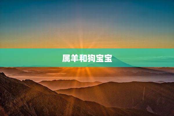 属羊和狗宝宝