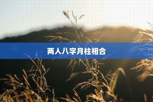 两人八字月柱相合