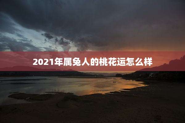 2021年属兔人的桃花运怎么样