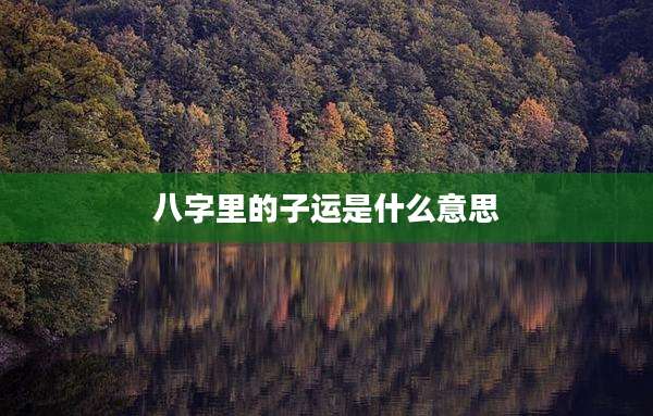 八字里的子运是什么意思