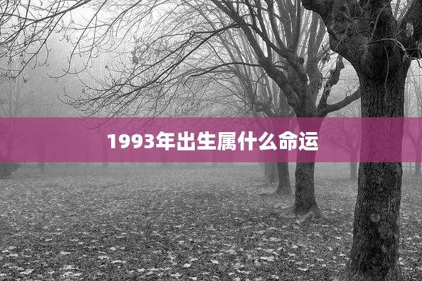 1993年出生属什么命运