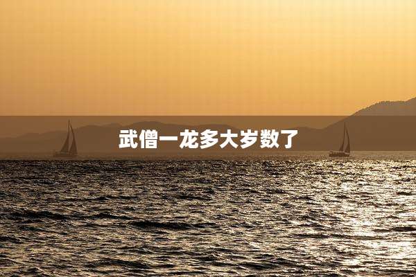 武僧一龙多大岁数了