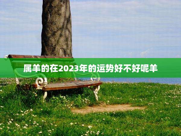 属羊的在2023年的运势好不好呢羊