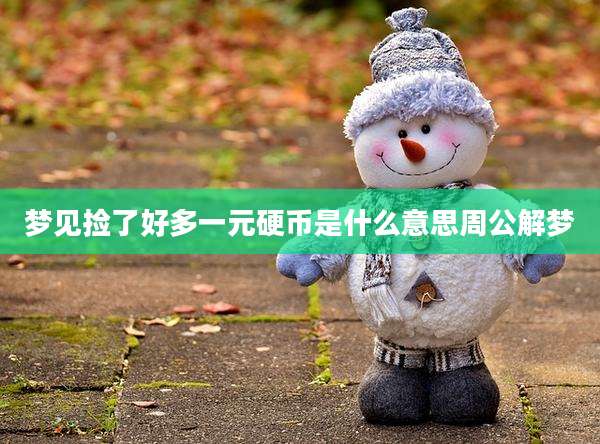 梦见捡了好多一元硬币是什么意思周公解梦