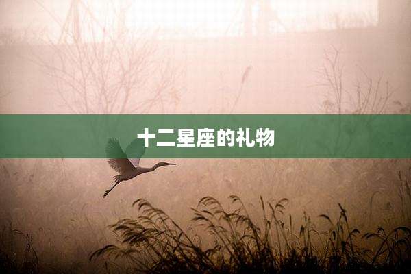 十二星座的礼物