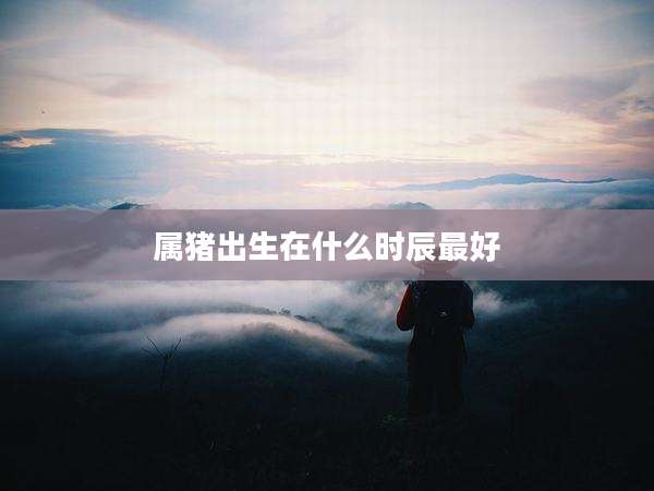 属猪出生在什么时辰最好