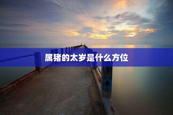 属猪的太岁是什么方位