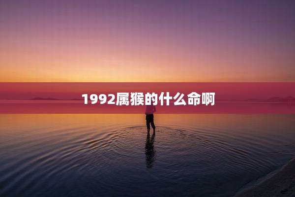 1992属猴的什么命啊
