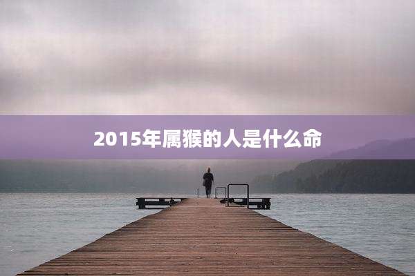 2015年属猴的人是什么命