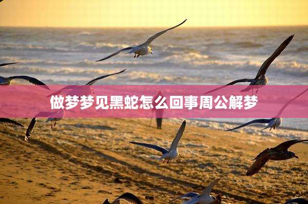 做梦梦见黑蛇怎么回事周公解梦