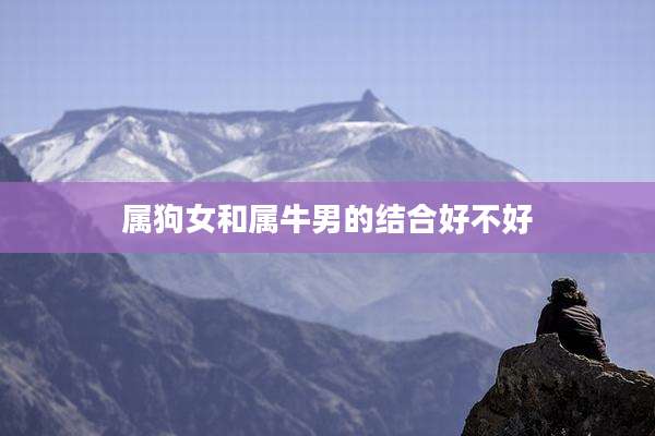 属狗女和属牛男的结合好不好