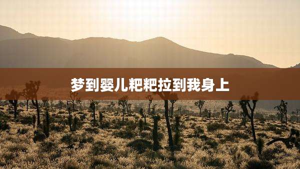 梦到婴儿粑粑拉到我身上