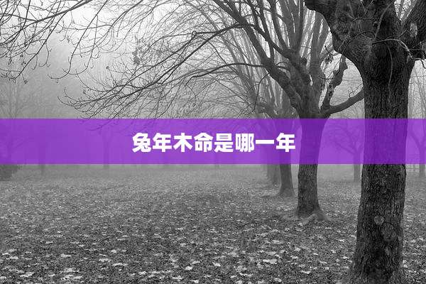 兔年木命是哪一年