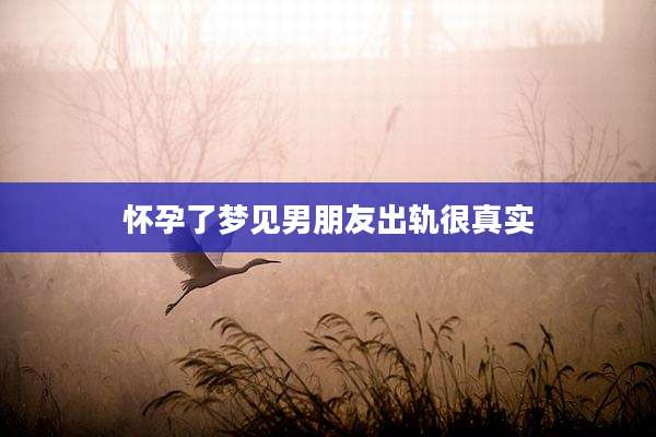 怀孕了梦见男朋友出轨很真实