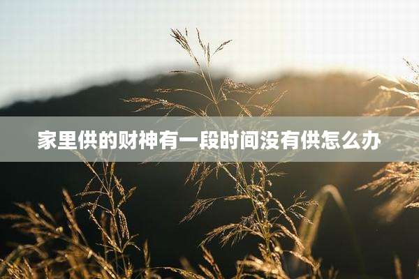 家里供的财神有一段时间没有供怎么办