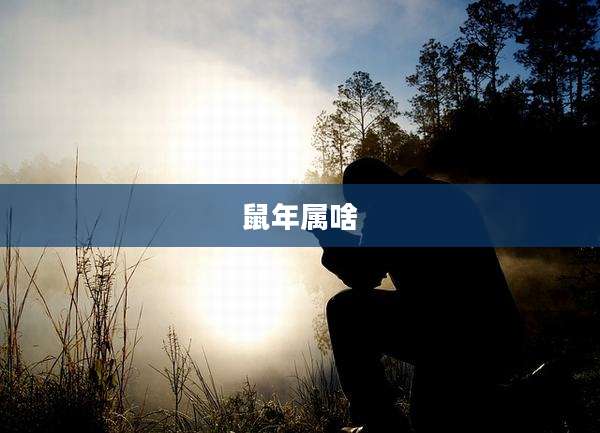 鼠年属啥