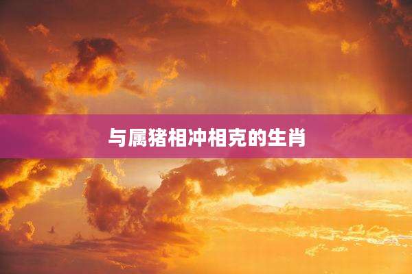 与属猪相冲相克的生肖