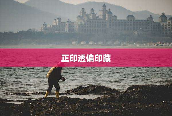 正印透偏印藏