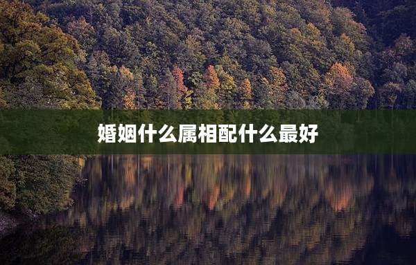 婚姻什么属相配什么最好