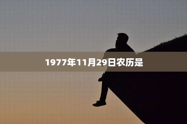 1977年11月29日农历是