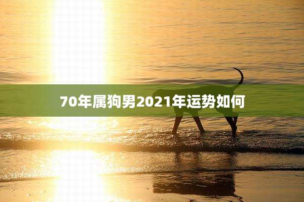 70年属狗男2021年运势如何