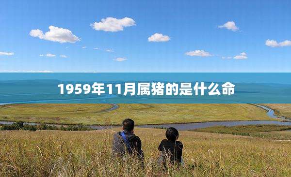 1959年11月属猪的是什么命