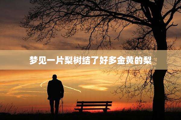 梦见一片梨树结了好多金黄的梨