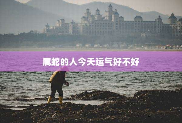 属蛇的人今天运气好不好