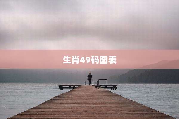生肖49码图表