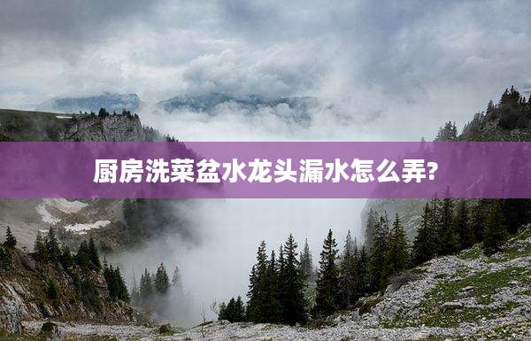 厨房洗菜盆水龙头漏水怎么弄?
