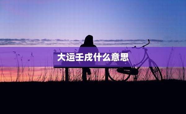 大运壬戌什么意思