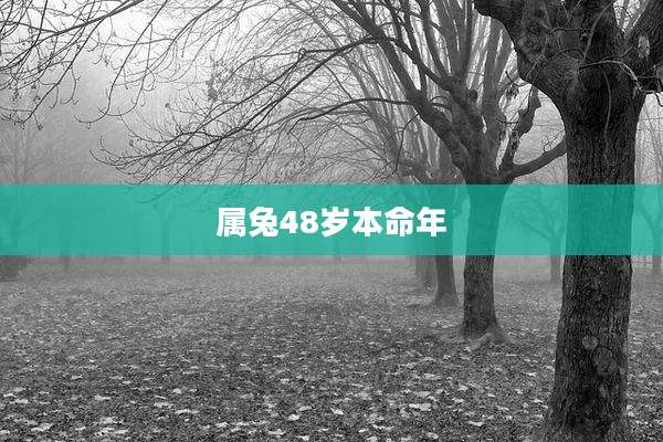属兔48岁本命年