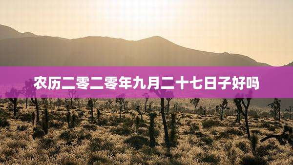 农历二零二零年九月二十七日子好吗