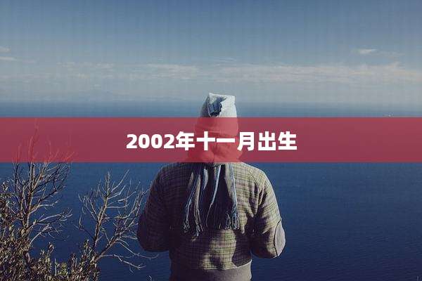 2002年十一月出生
