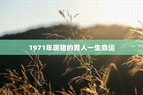 1971年属猪的男人一生命运