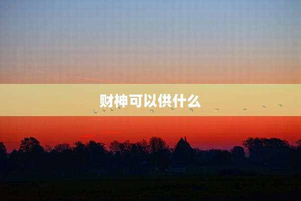 财神可以供什么