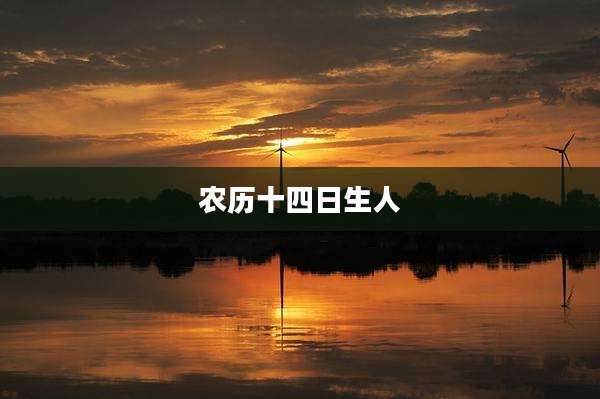 农历十四日生人