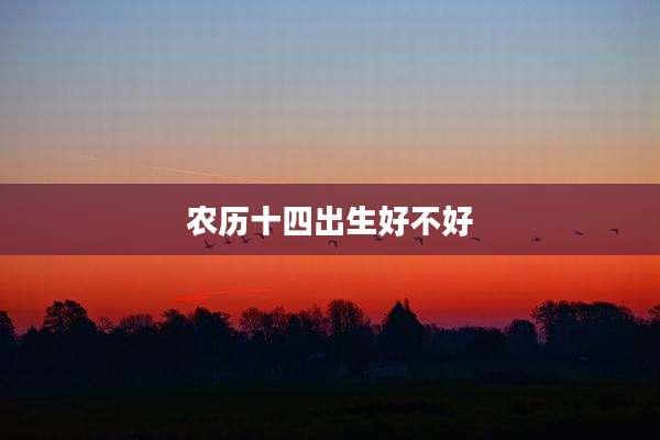 农历十四出生好不好