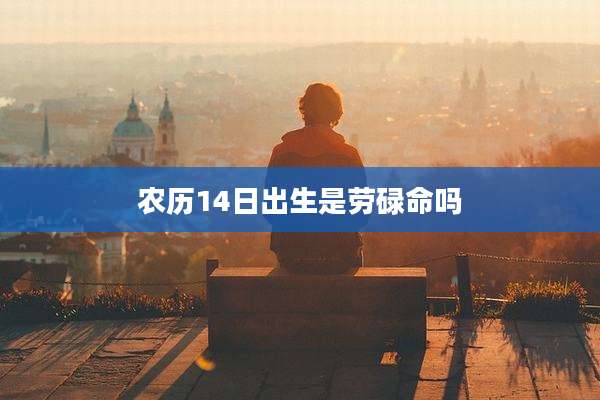 农历14日出生是劳碌命吗