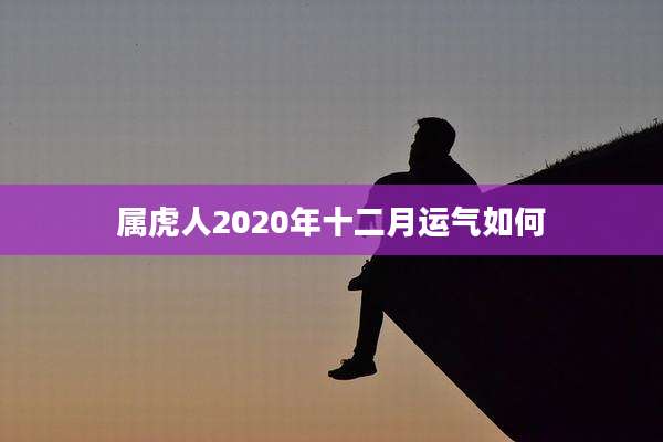 属虎人2020年十二月运气如何