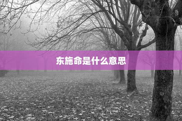 东施命是什么意思