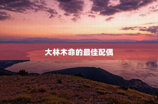 大林木命的最佳配偶