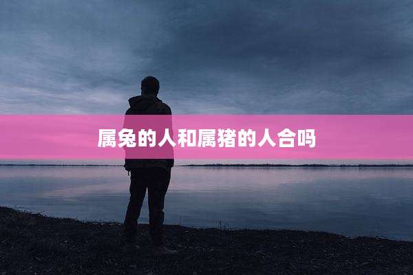 属兔的人和属猪的人合吗