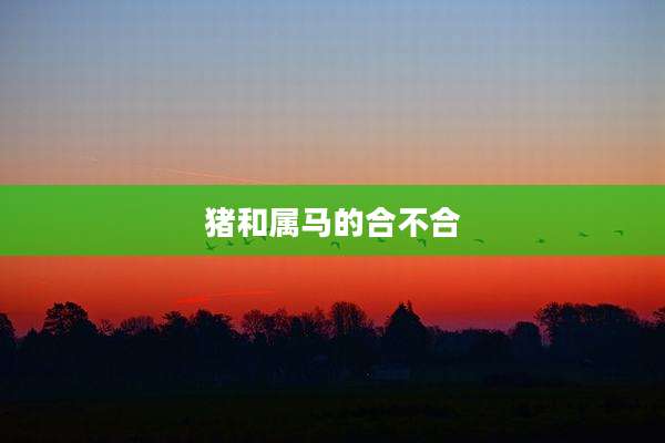 猪和属马的合不合