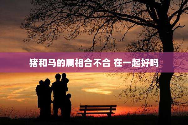 猪和马的属相合不合 在一起好吗