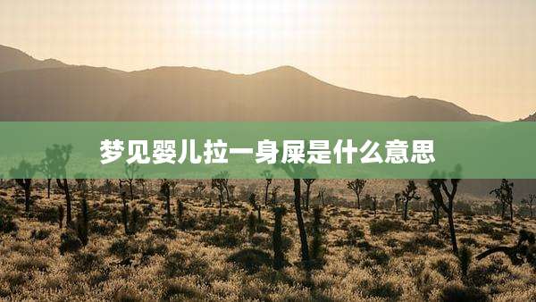 梦见婴儿拉一身屎是什么意思