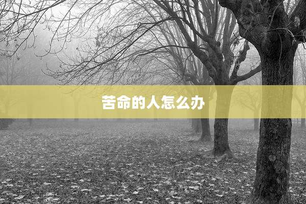 苦命的人怎么办