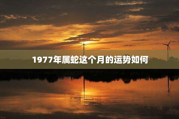 1977年属蛇这个月的运势如何