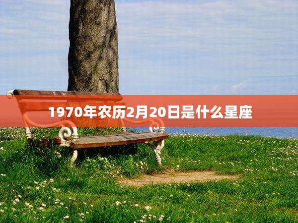 1970年农历2月20日是什么星座