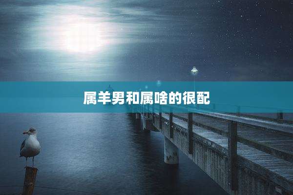 属羊男和属啥的很配